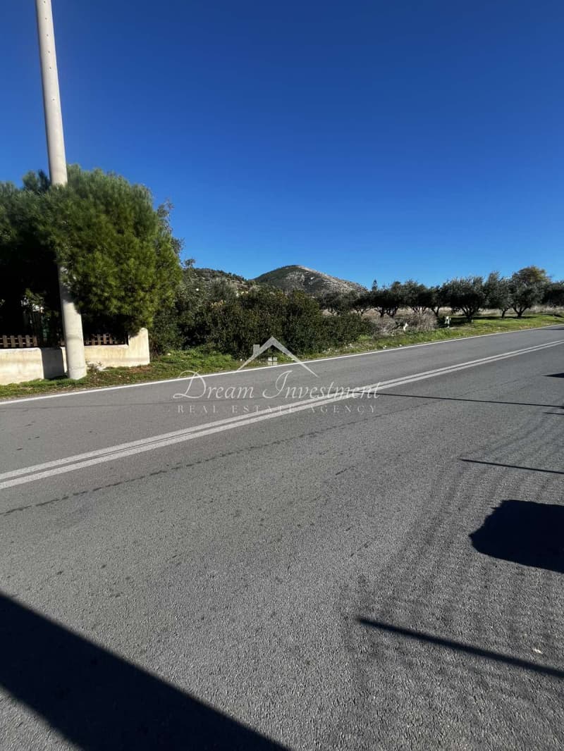 Parcel in Kaki Vigla, Salamina — Photo 2 of 17