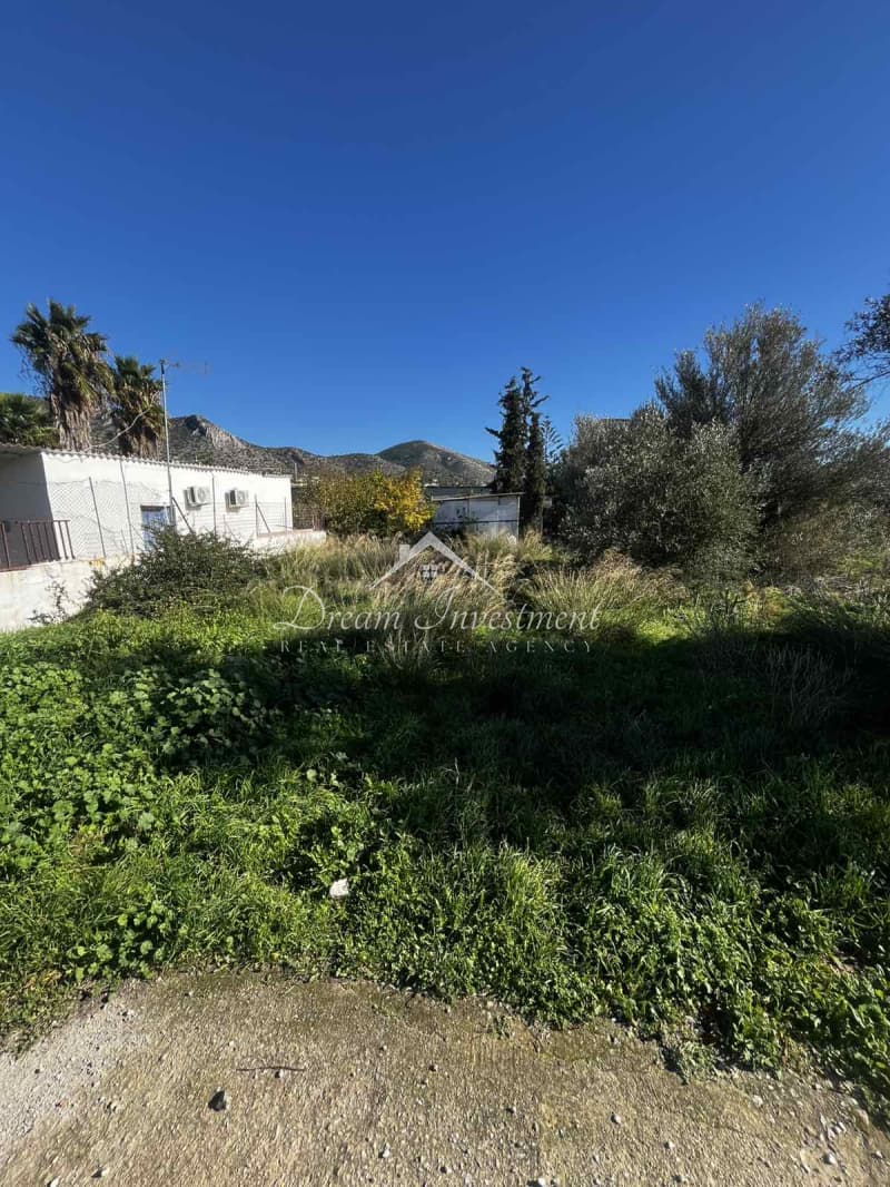Parcel in Agia Paraskevi, Salamina — Photo 8 of 9