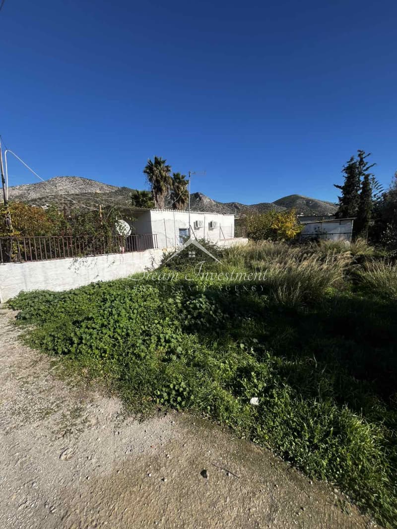 Parcel in Agia Paraskevi, Salamina — Photo 9 of 9