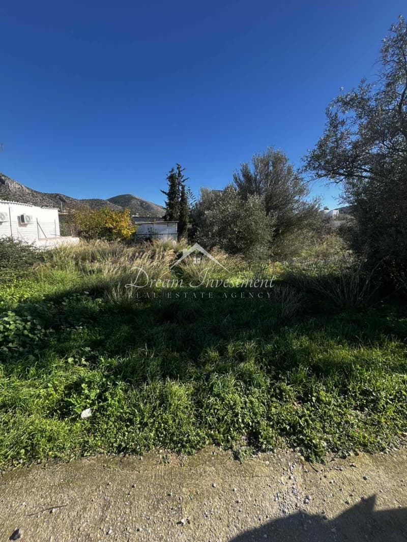 Parcel in Agia Paraskevi, Salamina — Photo 7 of 9