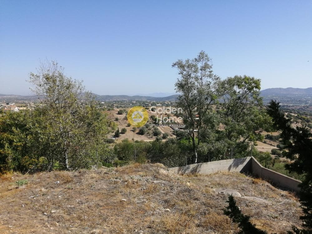 Μονοκατοικία στην Κέντρο, Μαρκόπουλο — Φωτογραφία 16 από 26