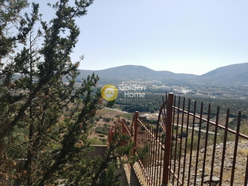Μονοκατοικία στην Κέντρο, Μαρκόπουλο — Φωτογραφία 25 από 26