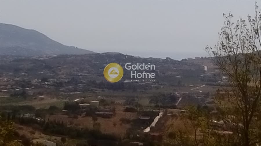 Μονοκατοικία στην Κέντρο, Μαρκόπουλο — Φωτογραφία 18 από 26