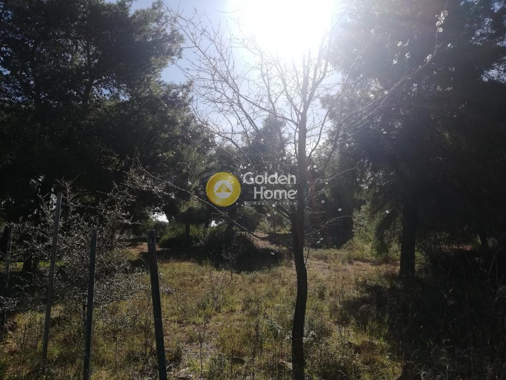 Building Plot in Center, Gerakas — Photo 2 of 4