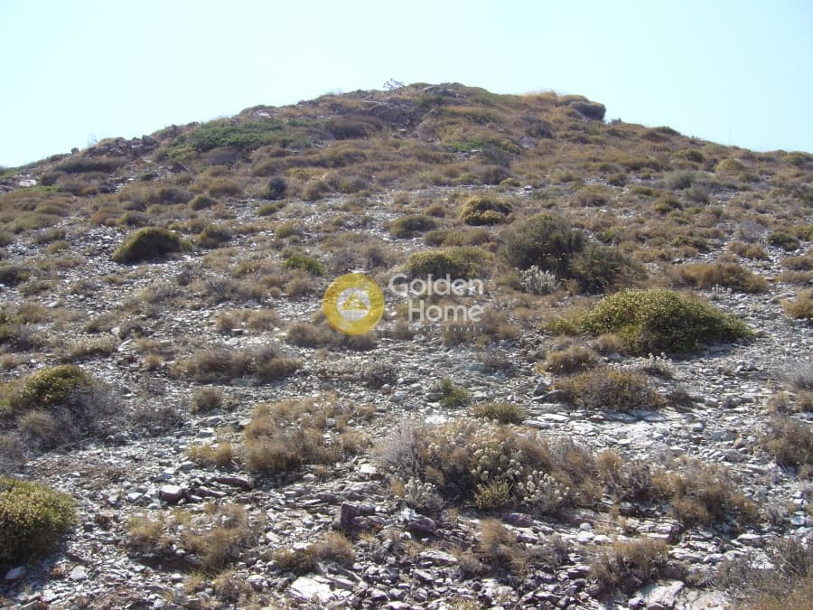 Parcel in Pefka, Keratea — Photo 13 of 15