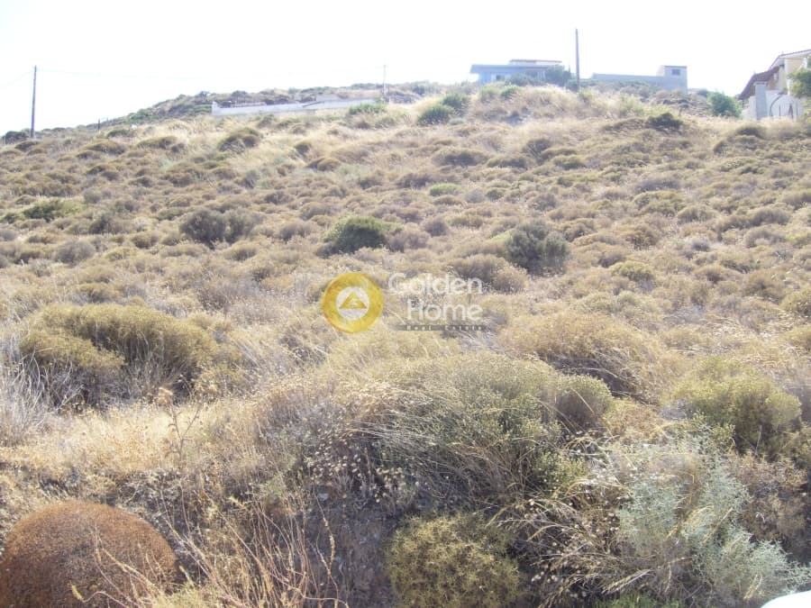 Parcel in Pefka, Keratea — Photo 10 of 15