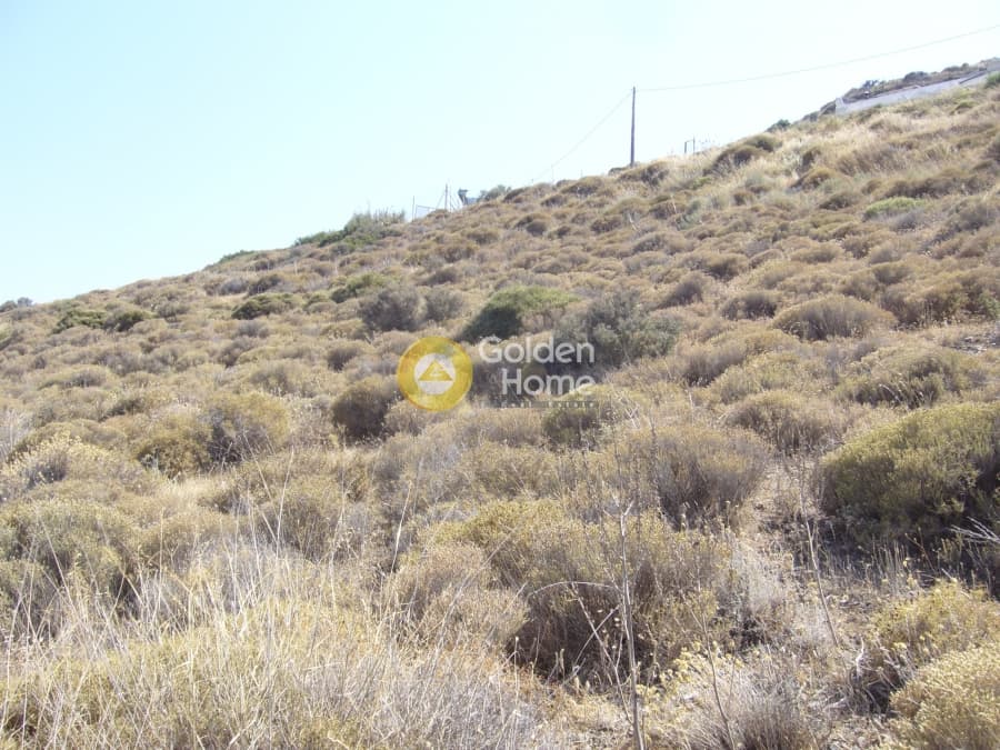 Parcel in Pefka, Keratea — Photo 11 of 15