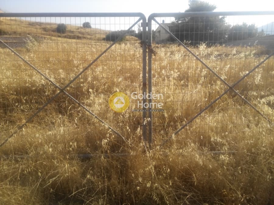 Building Plot in Kalivia, Kalivia Thorikou — Photo 6 of 8