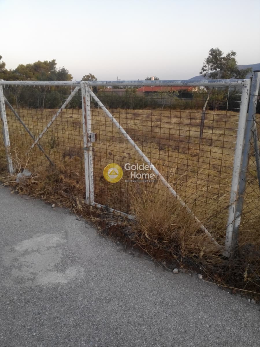 Building Plot in Kalivia, Kalivia Thorikou — Photo 3 of 8