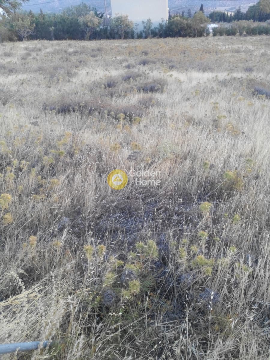 Building Plot in Kalivia, Kalivia Thorikou — Photo 4 of 8
