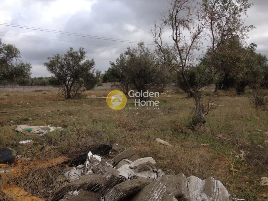 Parcel in Megala Sxoinia A, Acharnes — Photo 1 of 10