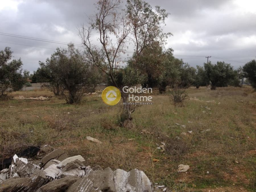 Parcel in Megala Sxoinia A, Acharnes — Photo 2 of 10