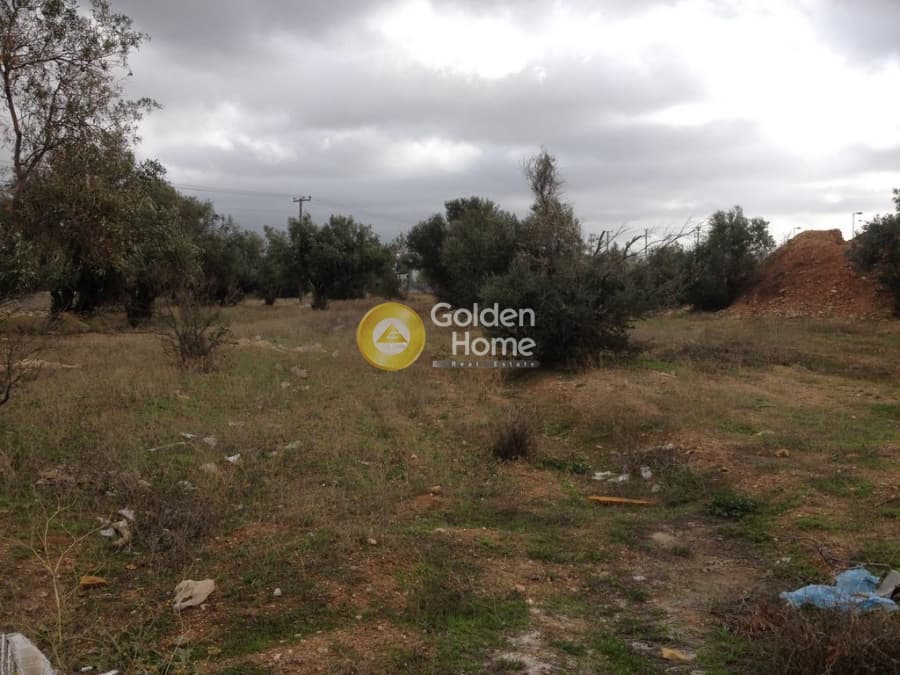 Parcel in Megala Sxoinia A, Acharnes — Photo 3 of 10