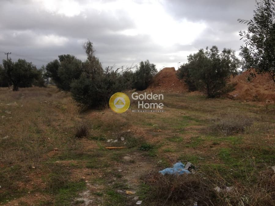 Parcel in Megala Sxoinia A, Acharnes — Photo 4 of 10