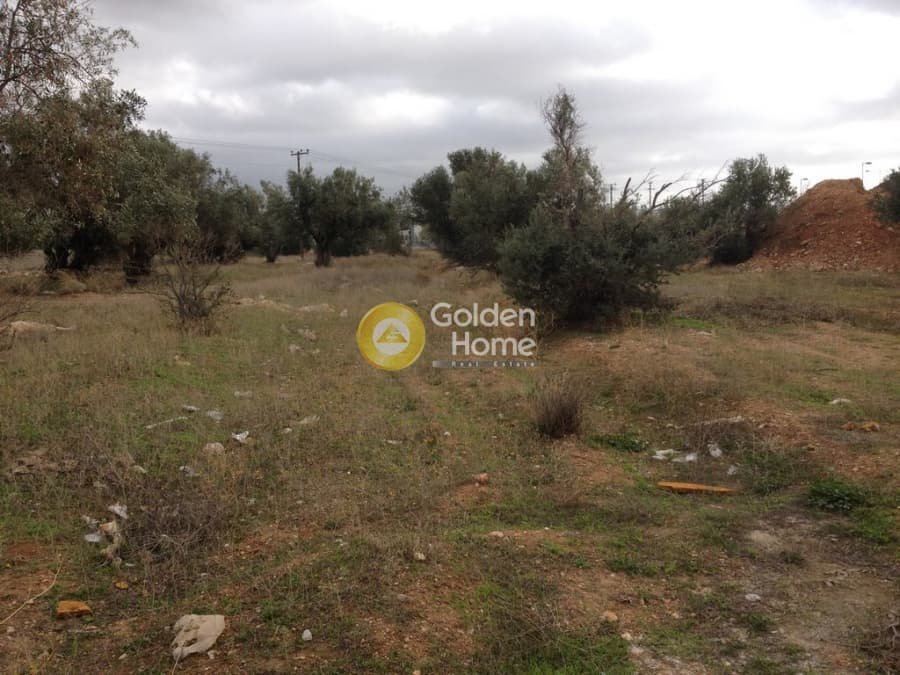 Parcel in Megala Sxoinia A, Acharnes — Photo 5 of 10