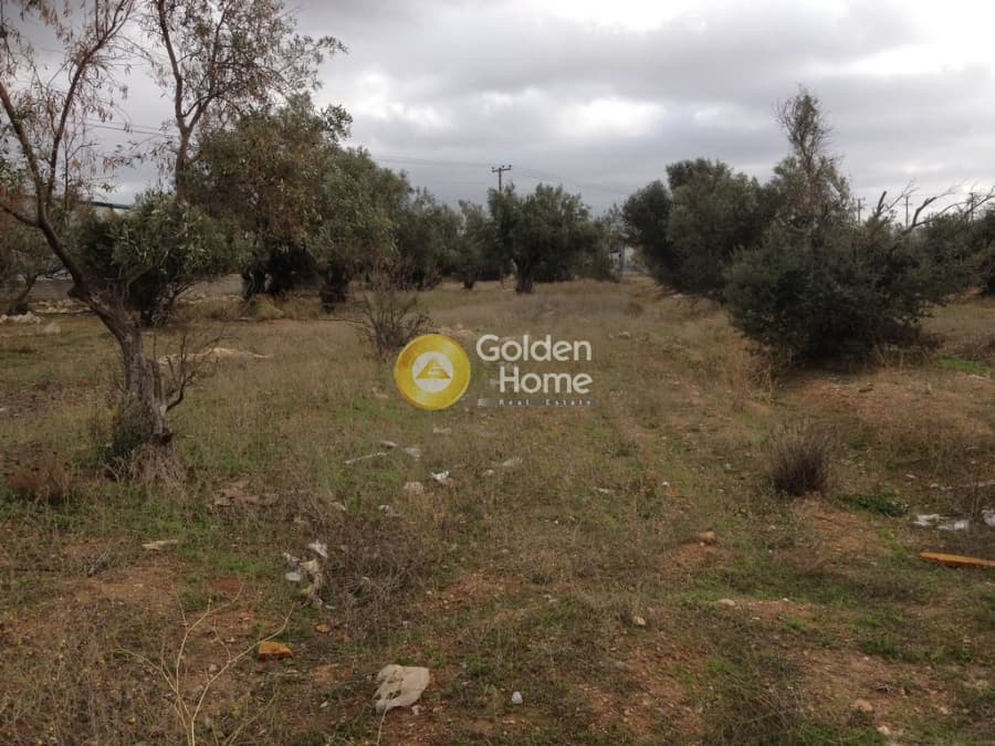 Parcel in Megala Sxoinia A, Acharnes — Photo 6 of 10