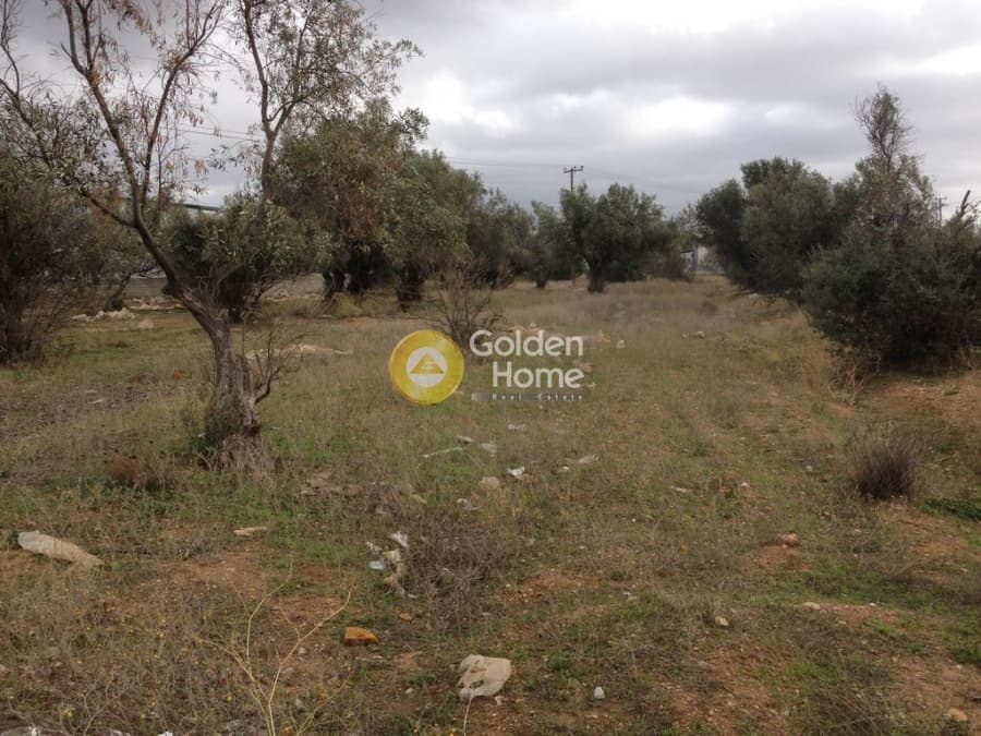 Parcel in Megala Sxoinia A, Acharnes — Photo 7 of 10