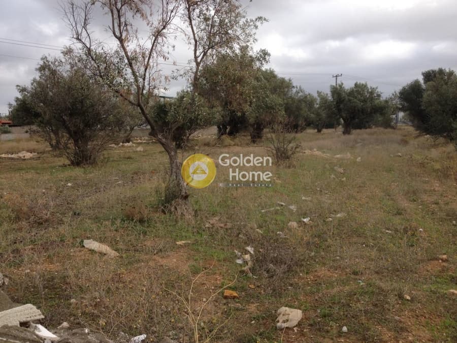 Parcel in Megala Sxoinia A, Acharnes — Photo 8 of 10