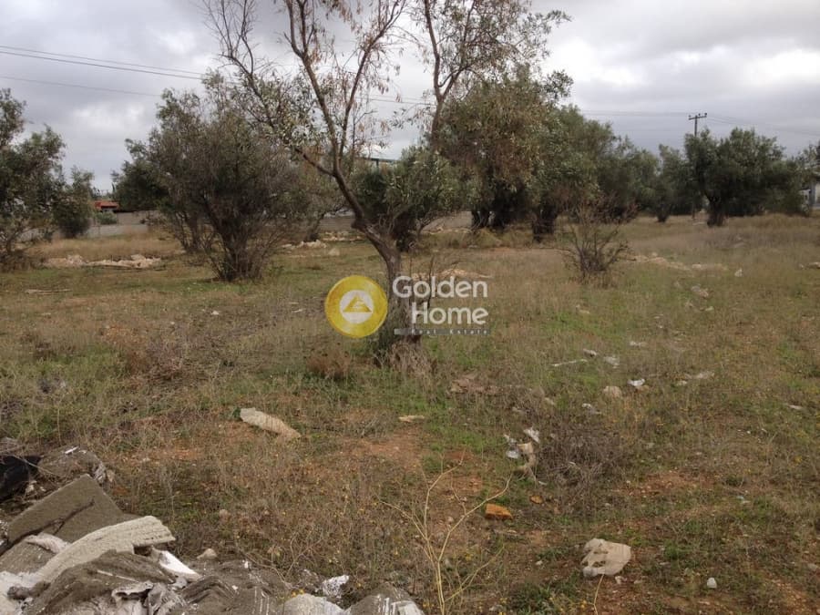 Parcel in Megala Sxoinia A, Acharnes — Photo 9 of 10