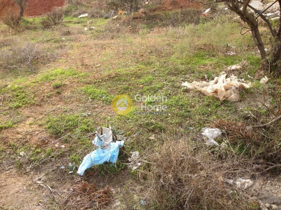 Parcel in Megala Sxoinia A, Acharnes — Photo 10 of 10