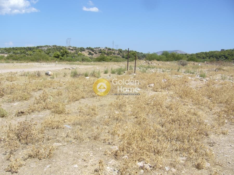Parcel in Lamprika, Koropi — Photo 3 of 9