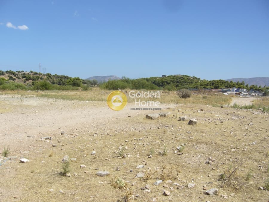 Parcel in Lamprika, Koropi — Photo 4 of 9