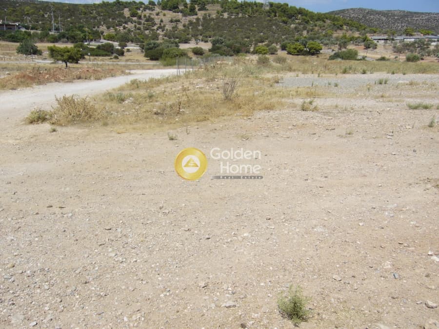 Parcel in Lamprika, Koropi — Photo 5 of 9