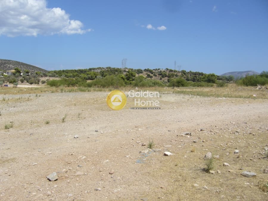 Parcel in Lamprika, Koropi — Photo 6 of 9
