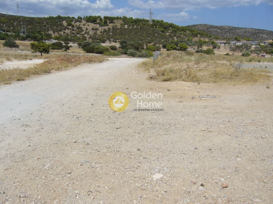 Parcel in Lamprika, Koropi — Photo 7 of 9