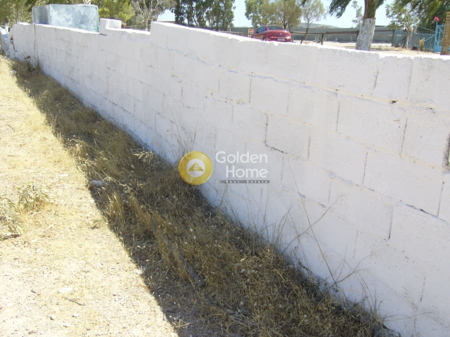 Parcel in Lamprika, Koropi — Photo 9 of 9