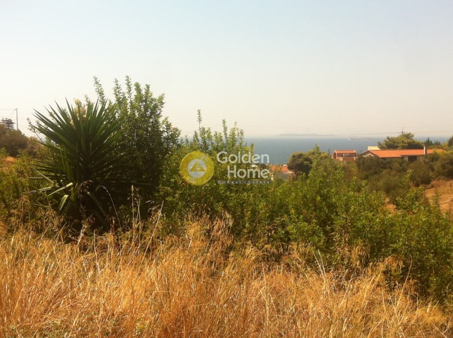 Building Plot in Kalivia, Kalivia Thorikou — Photo 5 of 6