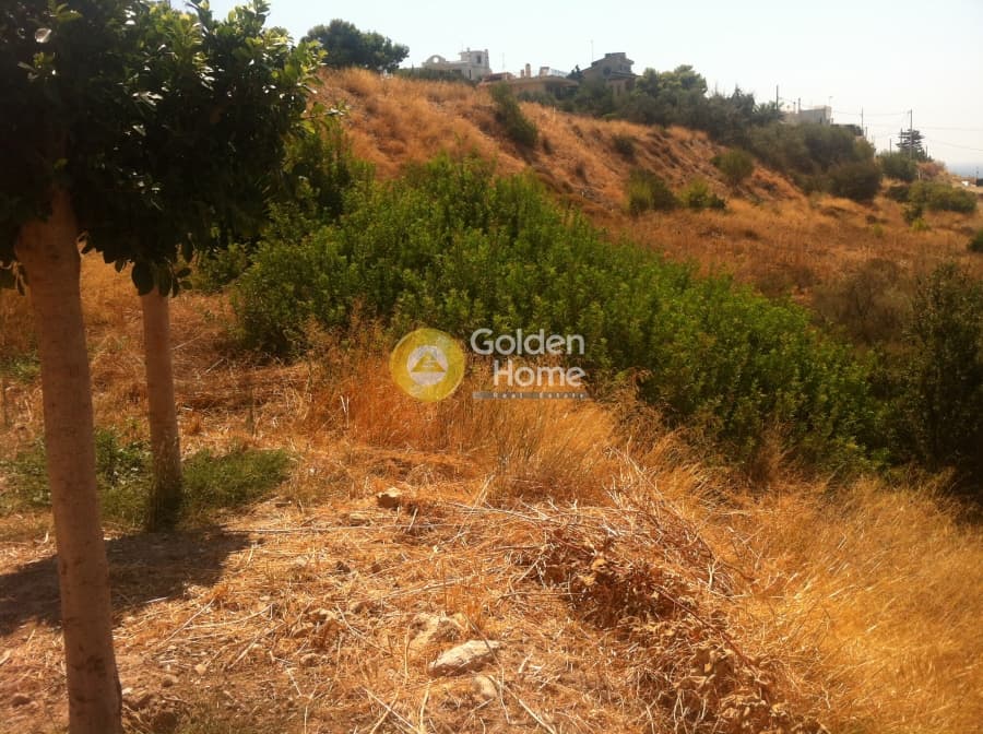 Building Plot in Kalivia, Kalivia Thorikou — Photo 4 of 6