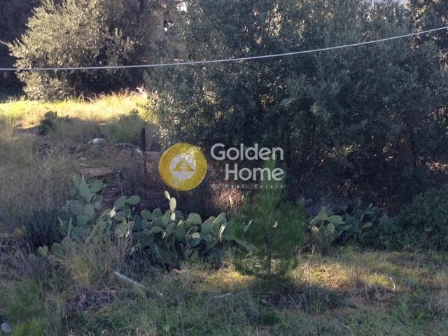 Building Plot in Adames Oikismos Grammos - Foinikas, Kifisia — Photo 8 of 10