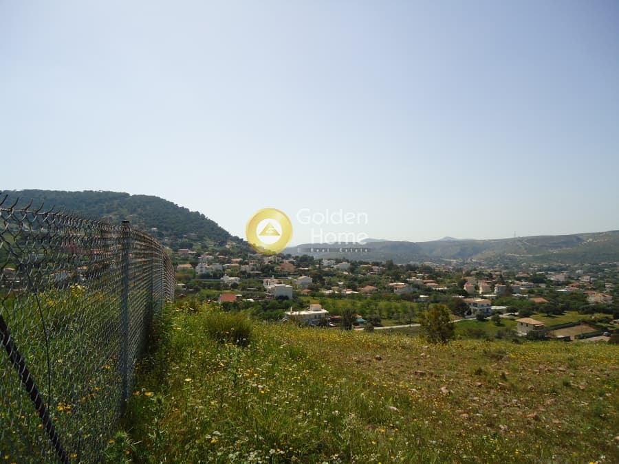 Parcel in Agia Marina, Koropi — Photo 1 of 3