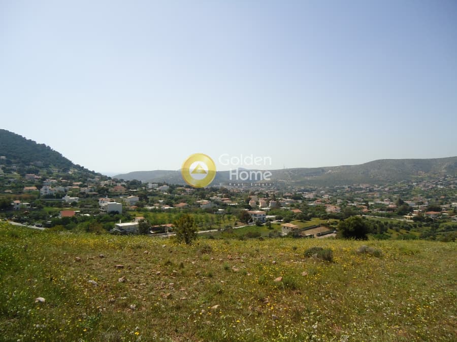 Parcel in Agia Marina, Koropi — Photo 2 of 3