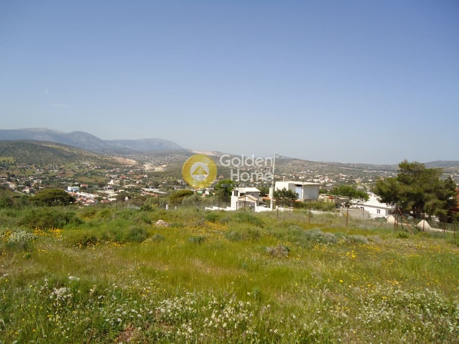 Parcel in Agia Marina, Koropi — Photo 3 of 3
