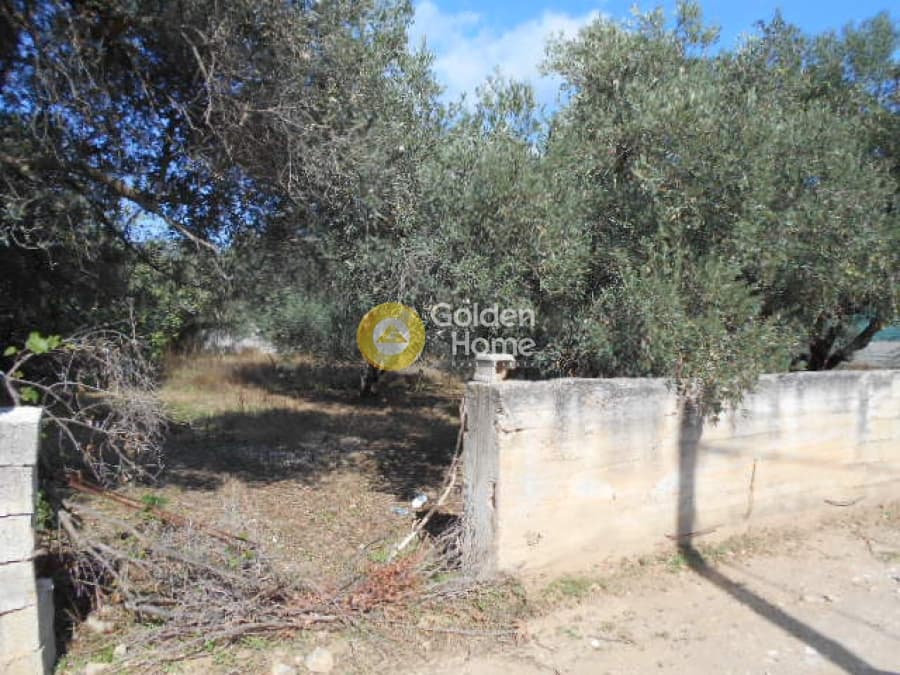 Αγροτεμάχιο στην Αγία Μαρίνα, Παιανία — Φωτογραφία 1 από 6