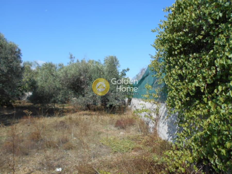 Αγροτεμάχιο στην Αγία Μαρίνα, Παιανία — Φωτογραφία 3 από 6