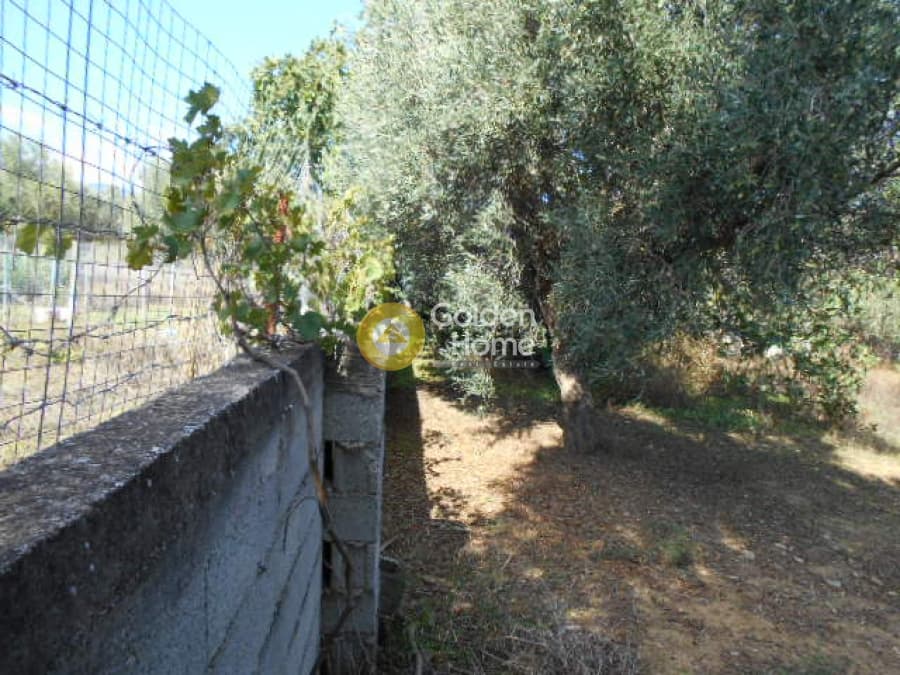 Αγροτεμάχιο στην Αγία Μαρίνα, Παιανία — Φωτογραφία 4 από 6