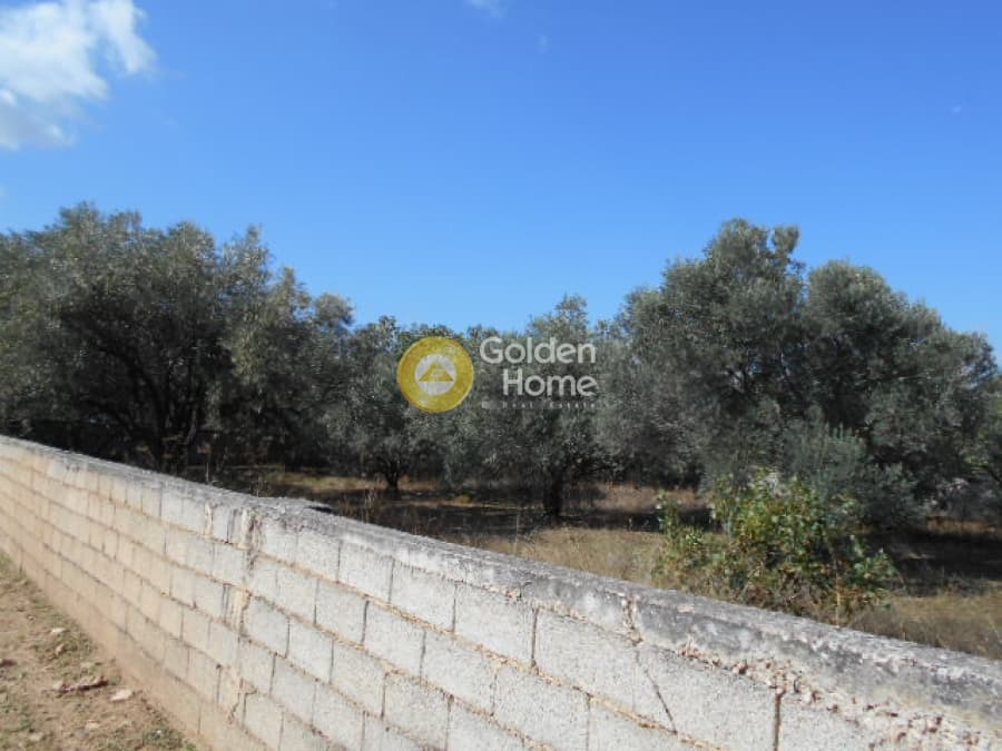 Αγροτεμάχιο στην Αγία Μαρίνα, Παιανία — Φωτογραφία 5 από 6