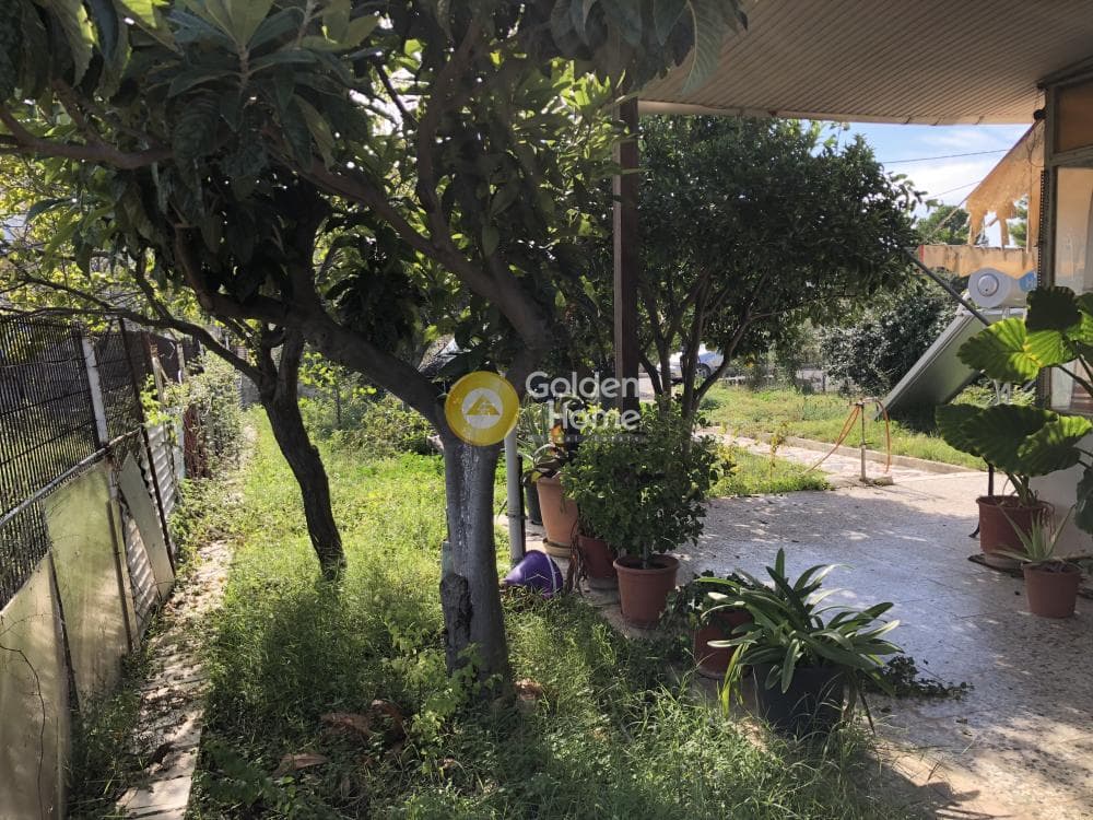 Building Plot in Adames Oikismos Grammos - Foinikas, Kifisia — Photo 4 of 13
