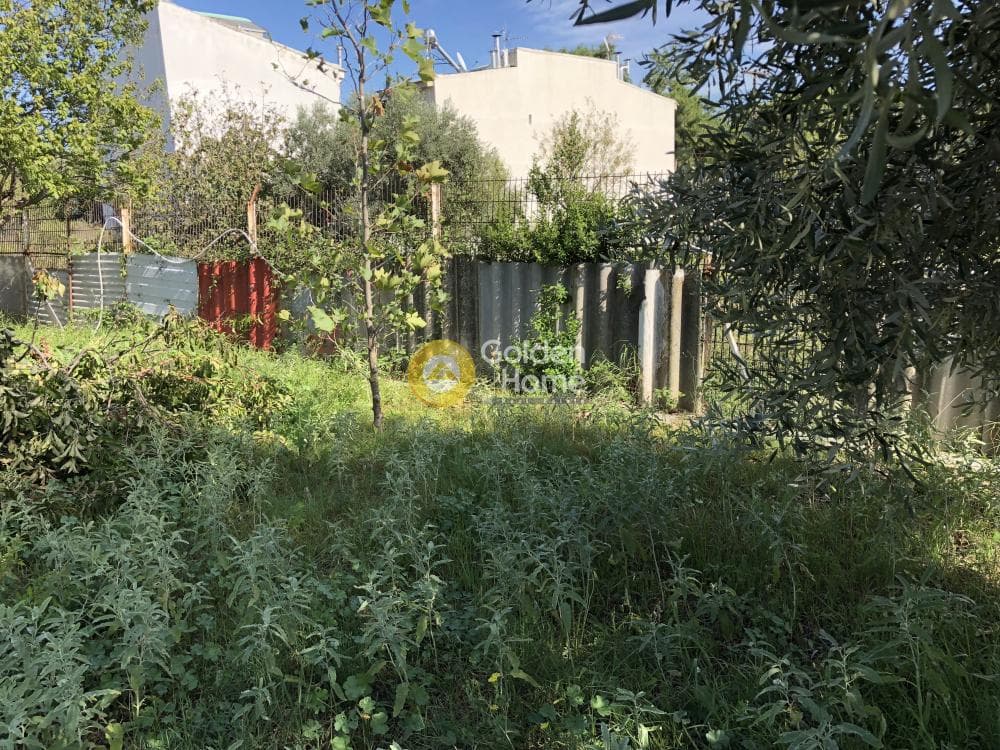 Building Plot in Adames Oikismos Grammos - Foinikas, Kifisia — Photo 12 of 13