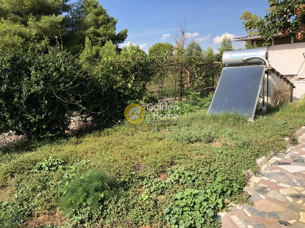 Building Plot in Adames Oikismos Grammos - Foinikas, Kifisia — Photo 13 of 13