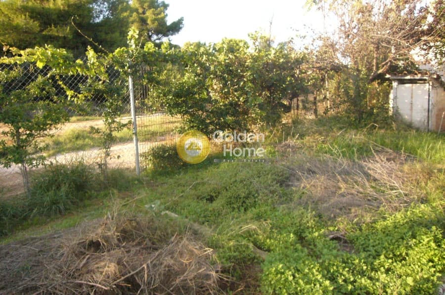 Building Plot in Adames Oikismos Grammos - Foinikas, Kifisia — Photo 2 of 13