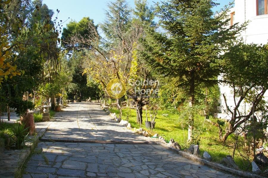 House in Kapitenia, Agios Stefanos — Photo 5 of 28