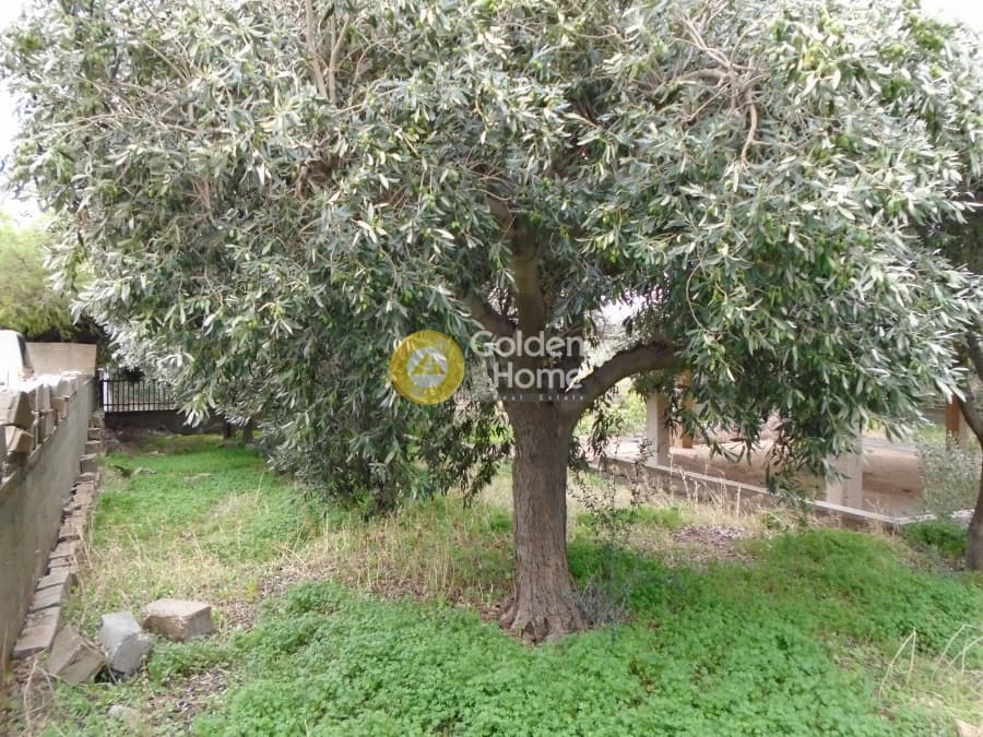 Building Plot in Kalivia, Kalivia Thorikou — Photo 4 of 7