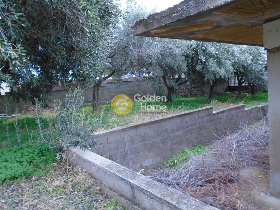Building Plot in Kalivia, Kalivia Thorikou — Photo 7 of 7