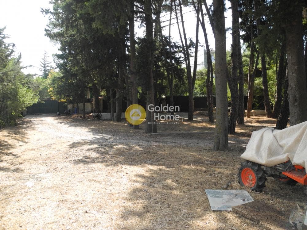 Μονοκατοικία στην Δροσιά, Δροσιά — Φωτογραφία 8 από 12