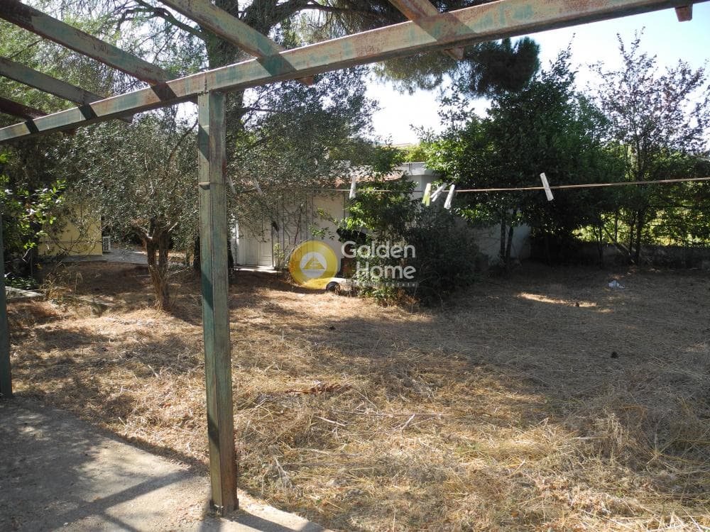 Μονοκατοικία στην Δροσιά, Δροσιά — Φωτογραφία 4 από 12
