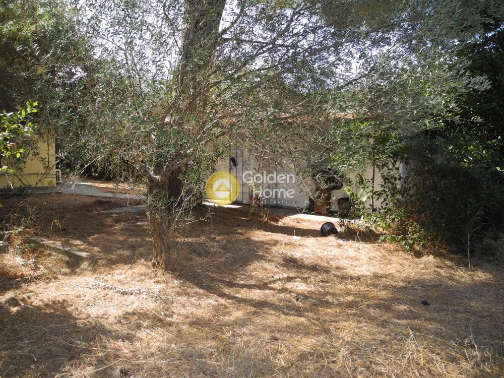 Μονοκατοικία στην Δροσιά, Δροσιά — Φωτογραφία 9 από 12